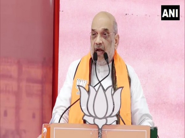 Union Home Minister Amit Shah (Photo/ANI)