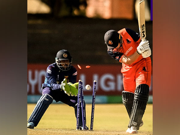 Netherlands and Sri Lanka match visual (Photo: Twitter/Cricket World Cup)