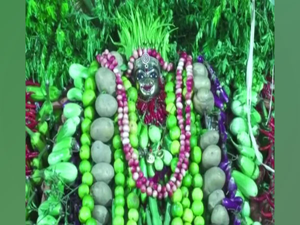 Three-day Shakambari Festival begins in Vijayawada (Photo/ANI)