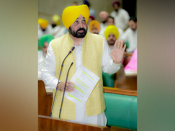 Punjab Chief Minister Bhagwant Mann (File Photo/ANI)