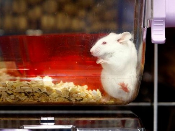 Representative Image. (Photo/Reuters)