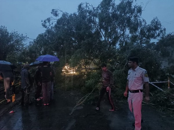 Road stood blocked following a tree-fall in Khera, Himachal Pradesh (Photo-@TTRHimachal)