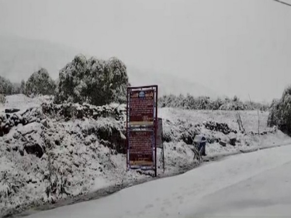 Losar village receives 'unexpected' snowfall (Photo/ANI)