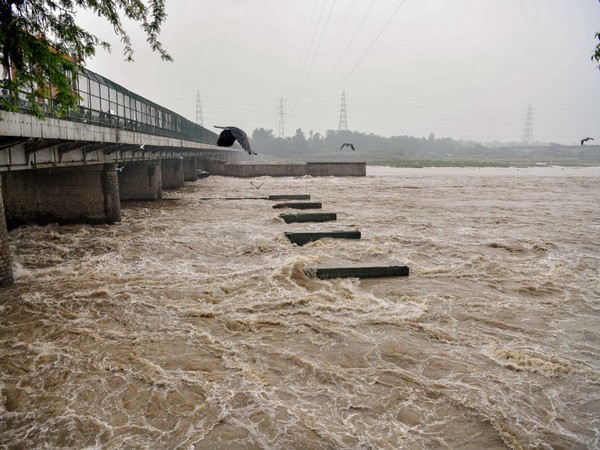 The Yamuna breached the danger mark on Monday. (ANI/Photo)
