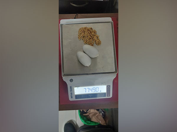 Passenger carrying gold inside his rectum detained at Cochin airport (Photo/ANI)