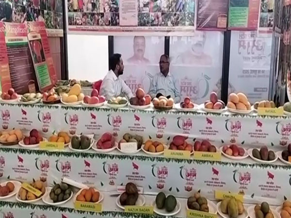 A stall at Uttar Pradesh Mango Festival 2023 (Photo/ANI)