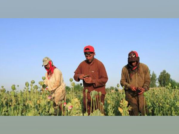 Representative Image. (Photo Credit - Reuters)