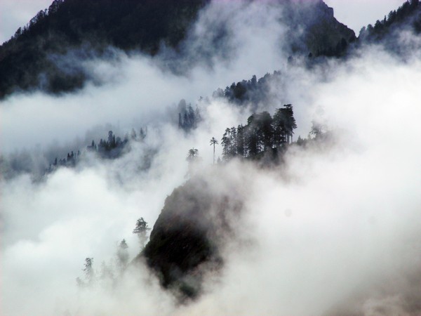 Clouds cover the hills of Kullu as the IMD issued an orange alert in several districts of Himachal Pradesh. (ANI)