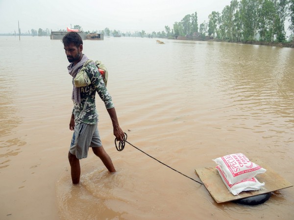 A villager carries essentials as he moves to a safer place after flood water enters the houses due to incessant rainfall in Jalandhar. (Photo/ANI)