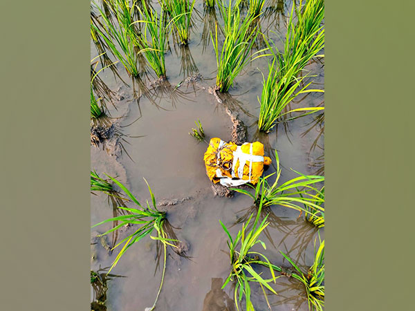 BSF seizes 2.3 kg Heroin. (Photo/ANI)