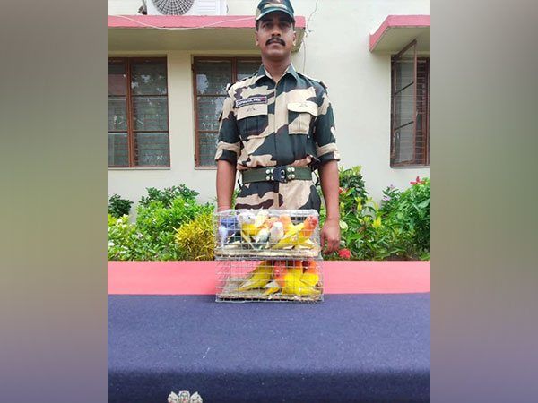A BSF soldier with the rescued bird (Photo Source: BSF)