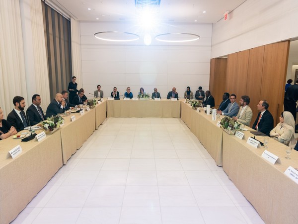 UAE highlights renewable energy’s key role in peacekeeping operations (Photo/WAM)