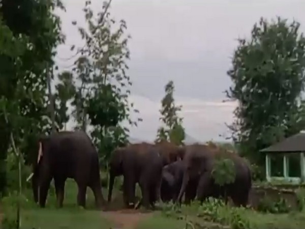 Visuals from the site (Photo/ANI)