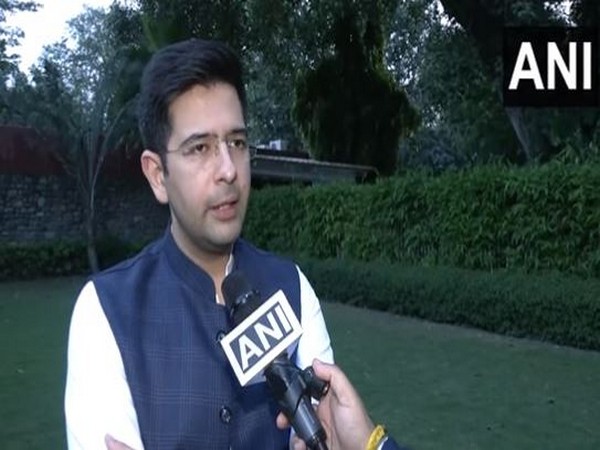 AAP MP Raghav Chadha (Photo/FILE)