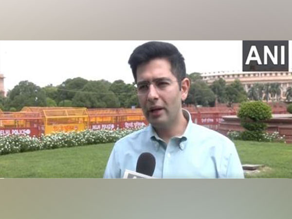 AAP MP Raghav Chada (Photo/ANI)