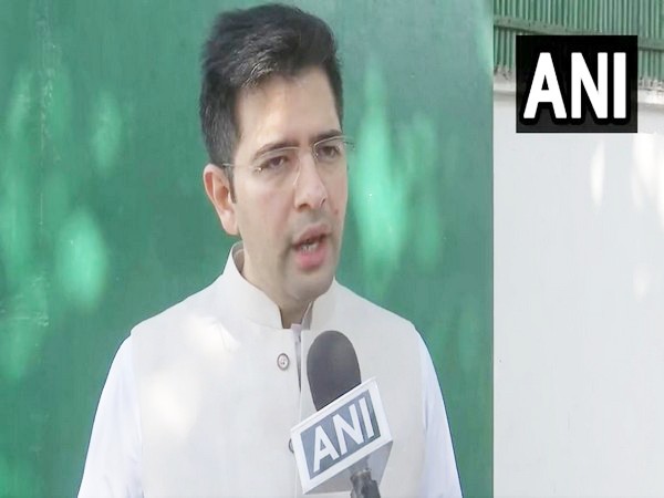 AAP MP Raghav Chaddha (Photo/ANI)