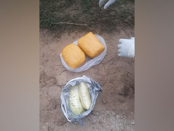 Seized drugs by  the BSF troops (Photo/ANI)