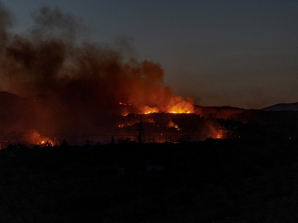Wildfire on the island of Rhodes (Image Credit: Reuters)