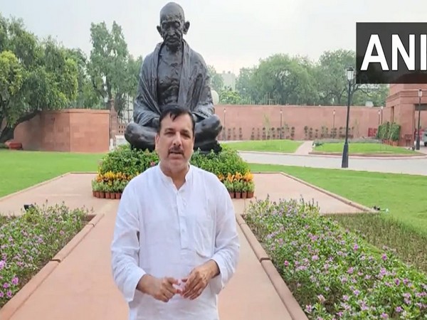 AAP MP Sanjay Singh (Photo/ANI)