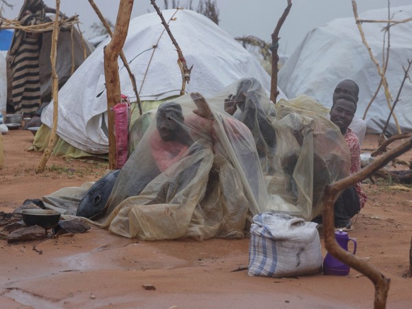Sudanese in Darfur region use pieces of plastic to cover themselves from the rain at a refugee camp in Adre, Chad July 30, 2023. (Photo/Reuters)