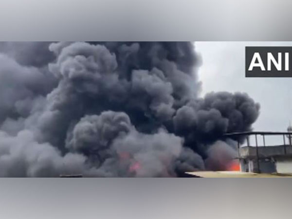 A visual from the site (Photo/ANI)