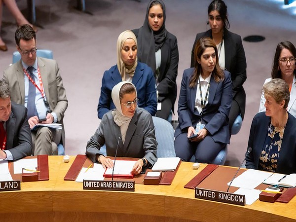 UAE delegation at a United Nations Security Council open debate (Photo/WAM)