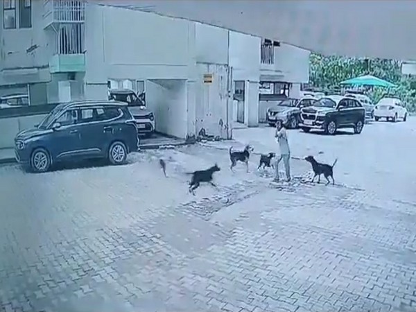 The incident caught on CCTV. (Photo/ANI)