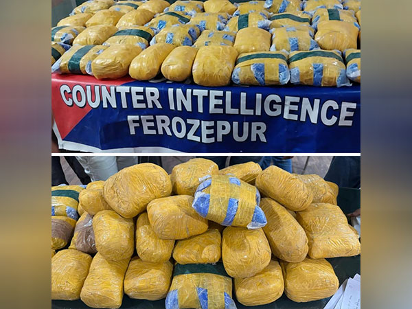 Drugs recovered by Punjab police (Photo credit: @DGPPunjabPolice)