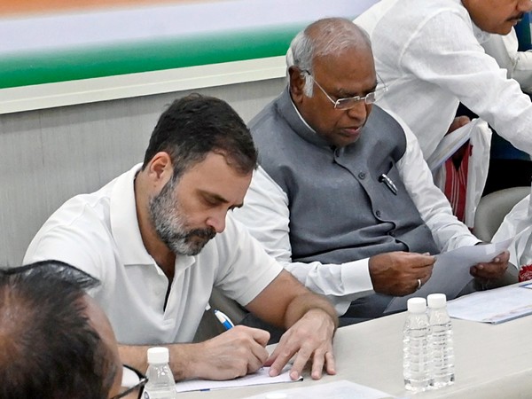 Congress President Mallikarjun Kharge along with party leader Rahul Gandhi during a meeting (File Photo/ANI)