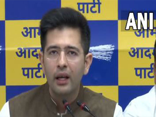 Aam Aadmi Party leader Raghav Chadha (Photo/ANI)