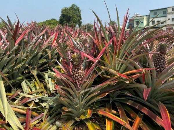 Representative Image. (Photo/Reuters)