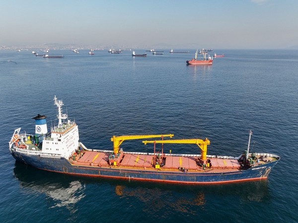 Commercial vessels including vessels which are part of Black Sea grain deal (Credit: Reuters)