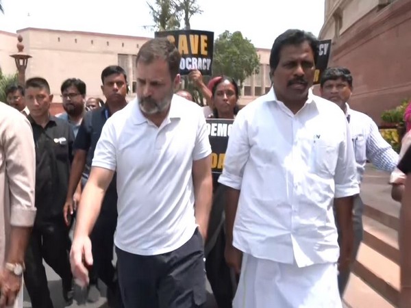 Rahul Gandhi leading a protest over the suspension of leader of Opposition in Lower House, Adhir Ranjan Chowdhury on Friday (Photo/ANI)