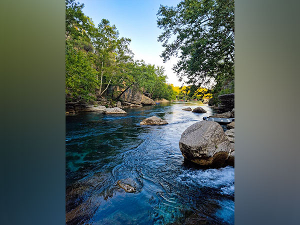 Representative image (Image source: Pexels) 