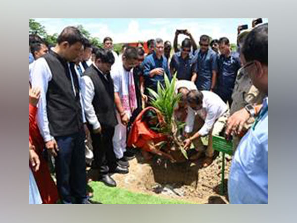 Oil palm plantation drive (Photo/PIB)