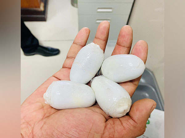 Kerala: Customs arrests man for smuggling four gold capsules (Image/ANI)