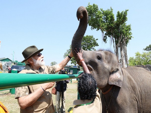 Prime Minister Narendra Modi at Mudumalai Tiger Reserve (Photo credit/Narendra Modi Twitter handle)