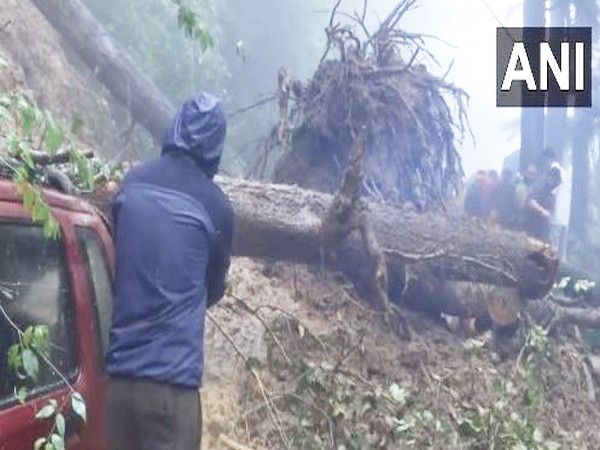 Visuals from the spot (Photo/ANI)