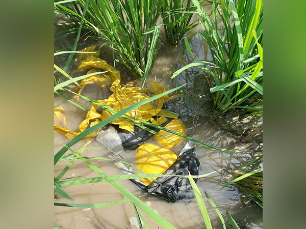 3 packets of narcotics weighing around 3 kg recovered in Punjab' Ferozepur (Image/ANI)