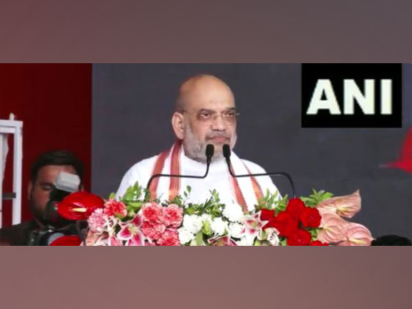 Union Home Minister Amit Shah (File Photo/ANI)