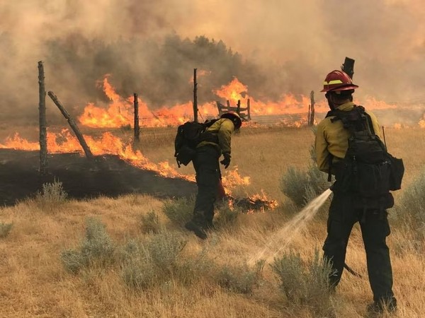 Wildland firefighters battle the Bridge Coulee Fire, part of the Lodgepole Complex, east of the Musselshell River, north of Mosby, Montana, U.S. July 21, 2017. (Image Credit: Reuters)