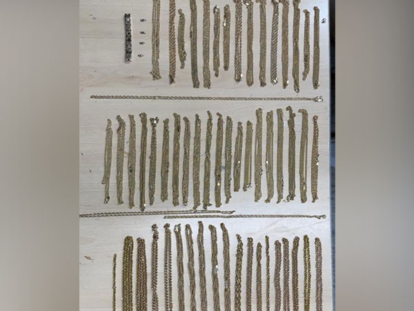 Seized gold (Photo/ANI)