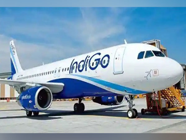 IndiGo aircraft (File Photo)