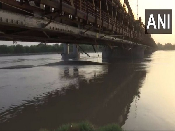 Visuals of Yamuna (Photo/ANI)