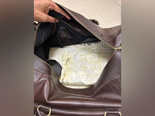 Cocaine seized by DRI (Photo/DRI)