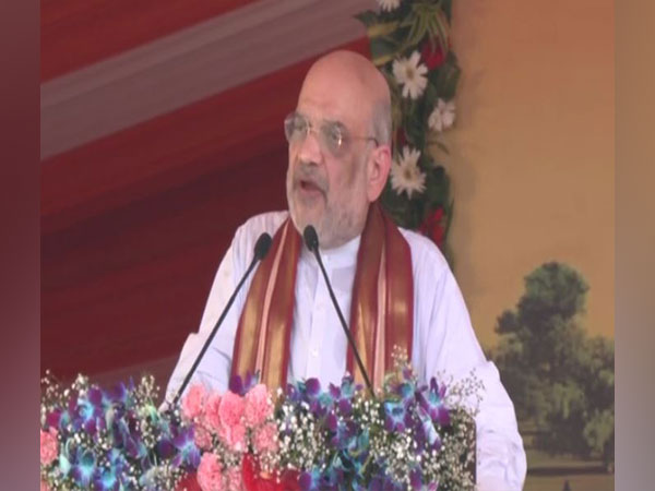 Union Home Minister Amit Shah (Photo/ANI)