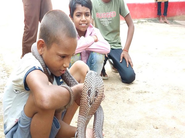 Child playing with snake (Photo/ANI)
