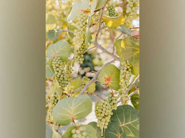 Representative image (Image source: Pexels) 