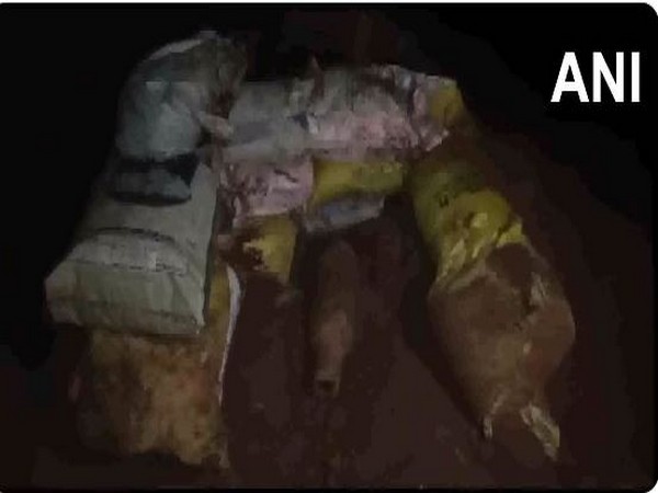 Bombshell found in Haryana's Panchkula (Photo/ANI)