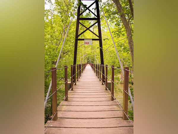 Representative image (Photo/pexels.com)